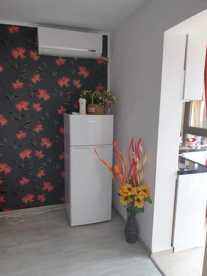 Apartament Alina Saturn Exterior photo