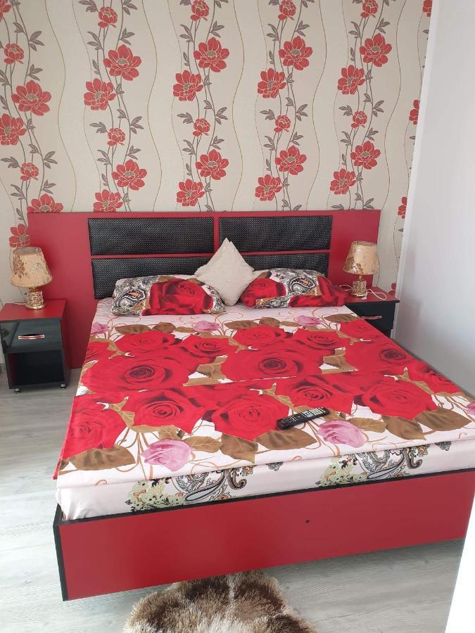Apartament Alina Saturn Exterior photo